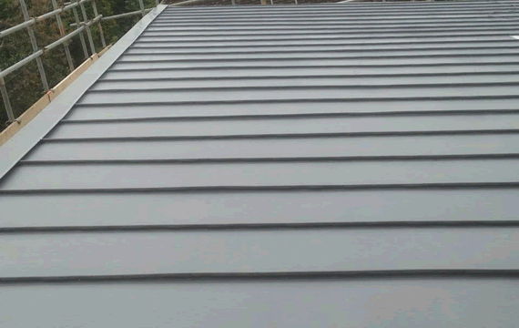 ElC zinc roofing